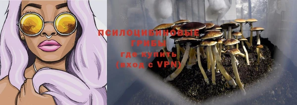 мет Абаза